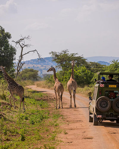 Amboseli National Park