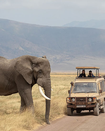 ngorongoro crater