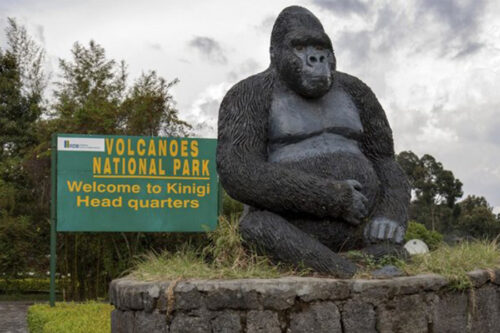 Rwanda Safari