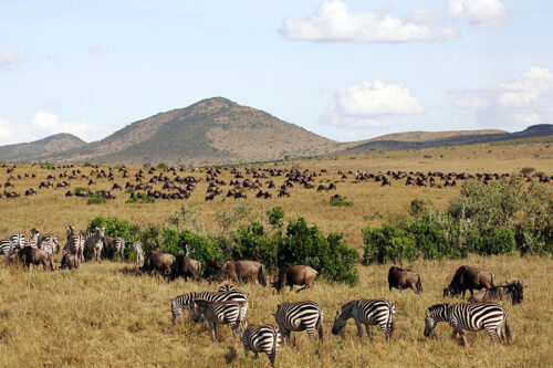 No journey to the Masai Mara would be complete without an authentic cultural experience that gets you up close and personal with the fascinating Maasai people