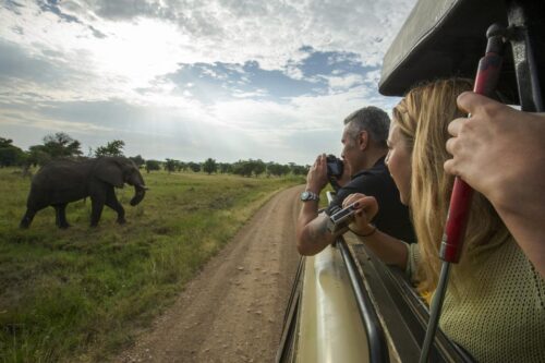Tanzania Wildlife Safari