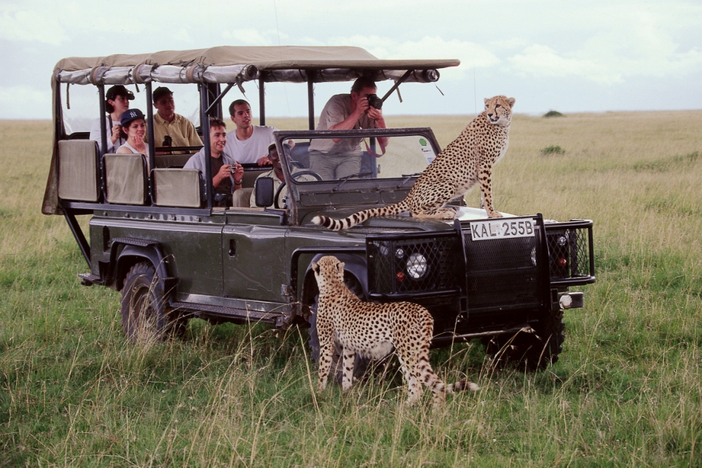 Serengeti