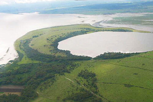 Kenya Wildlife