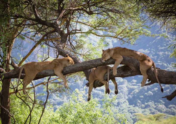 lake manyara