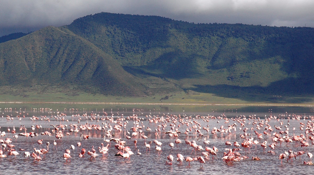 Ngorongoro Crater