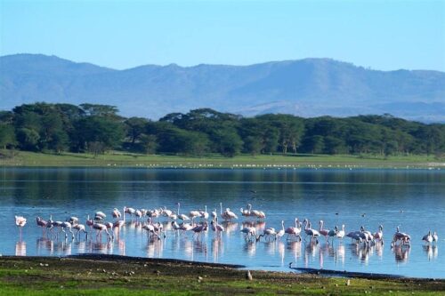 Ngorongoro Crater