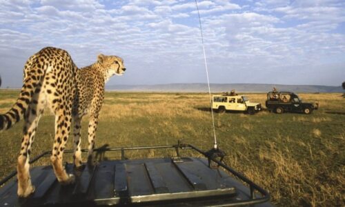 Luxury Kenya
