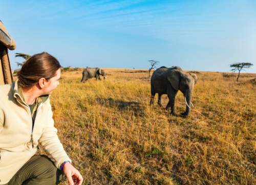 Tanzania Adventure