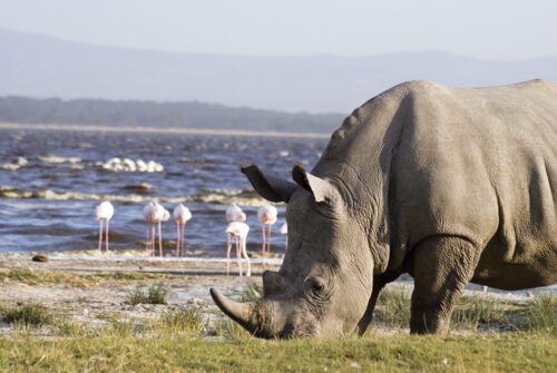 Tanzania