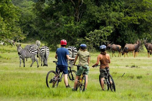 Uganda Safari