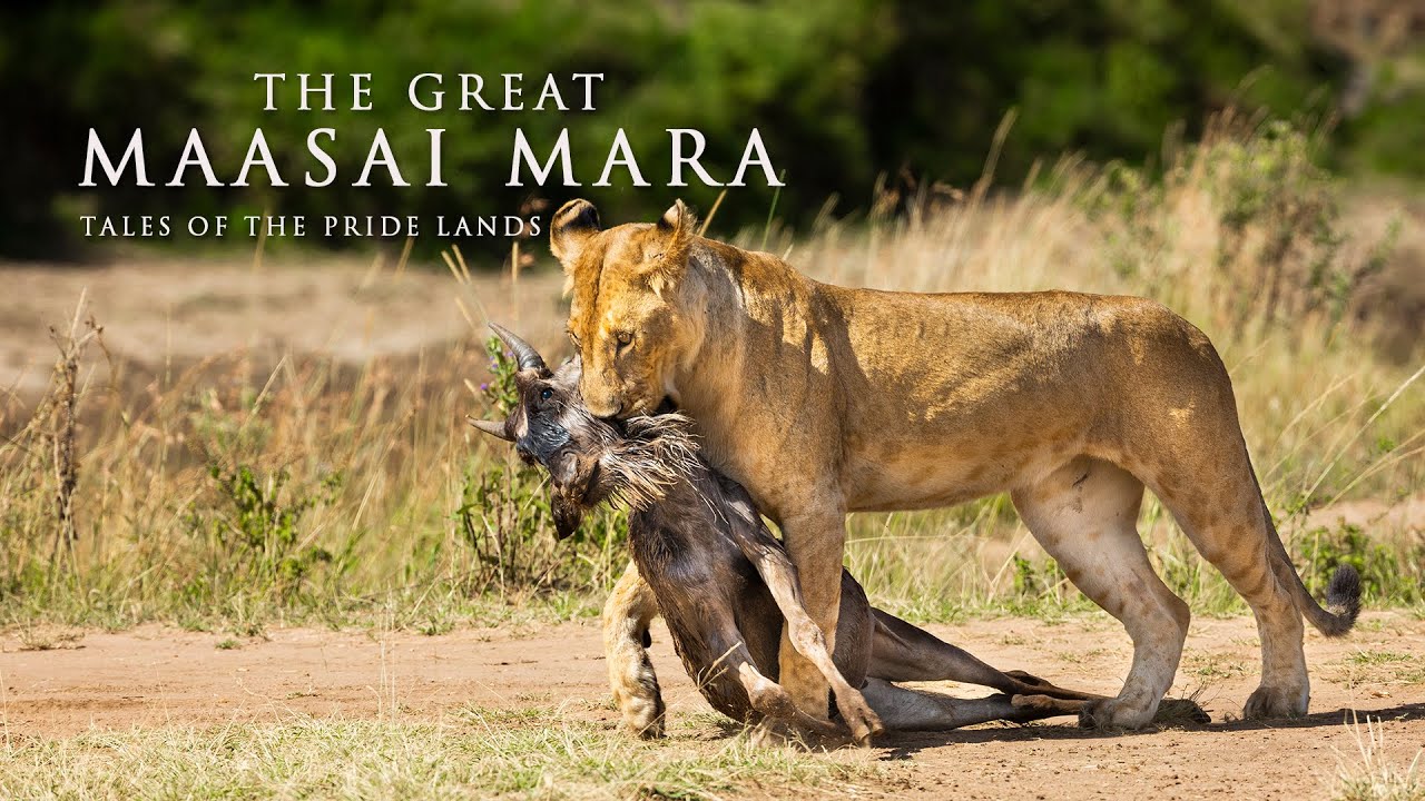21 Days Uganda