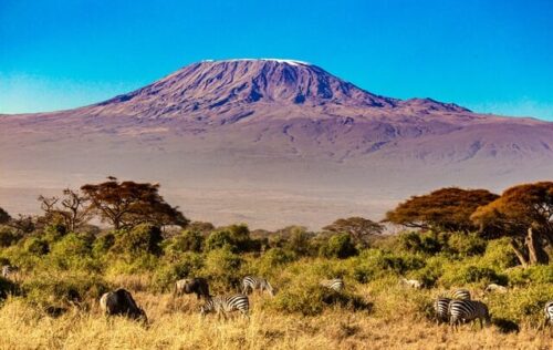 Kenya Wildlife