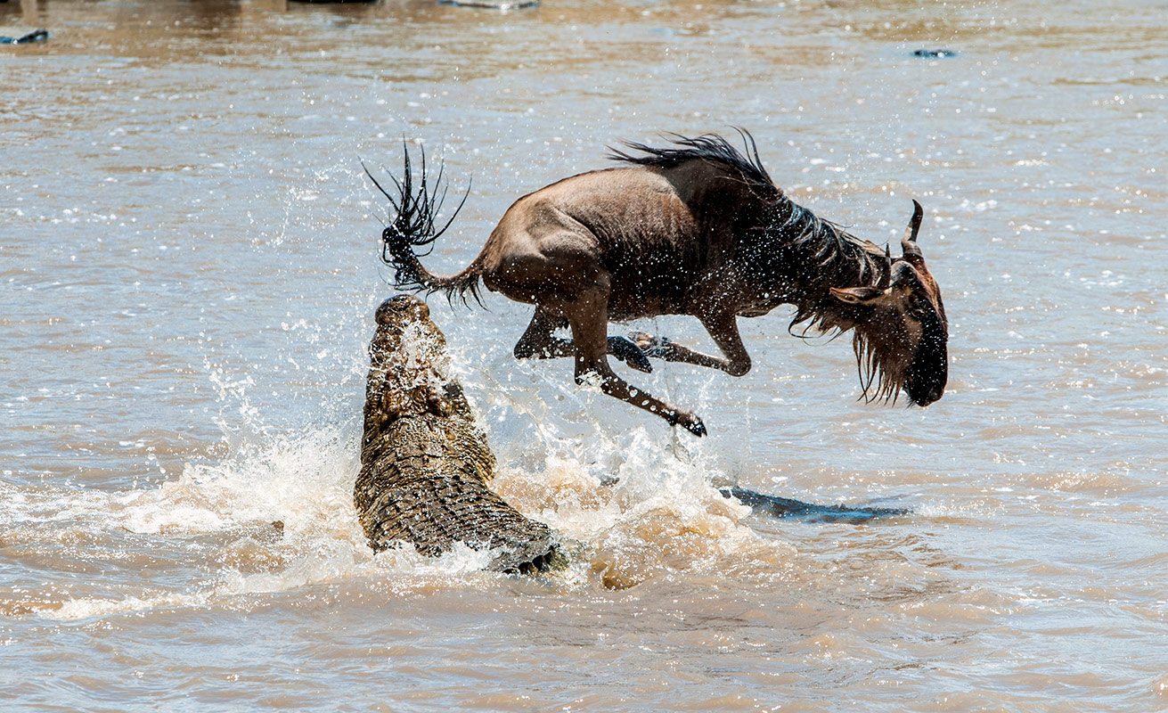 Serengeti
