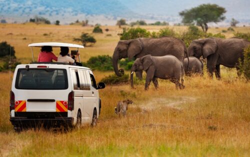 Amboseli
