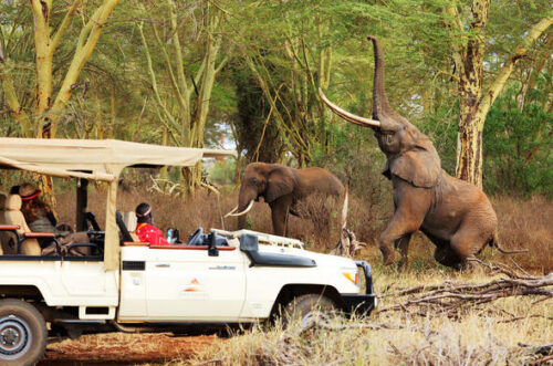 Tsavo