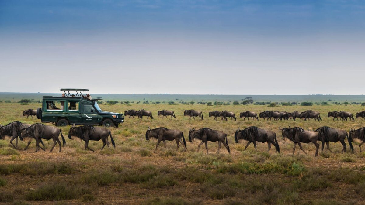Masaai mara