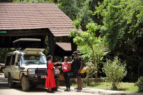 Kenya Luxury Safari