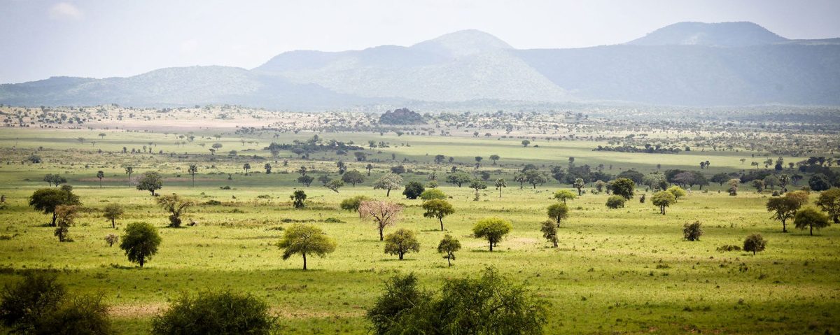 Kidepo valley