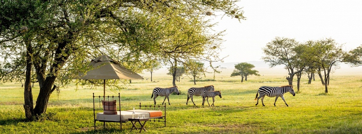 Luxury Safari