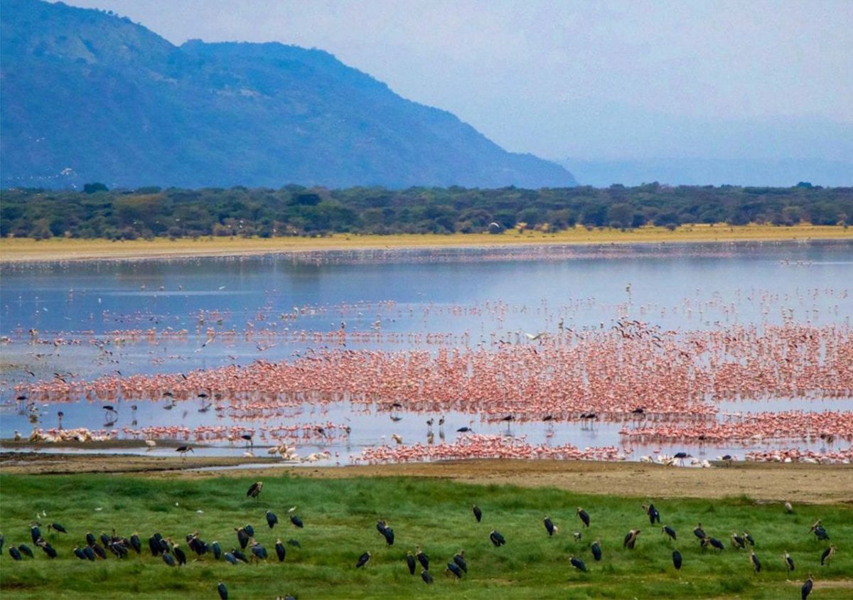 lake manyara