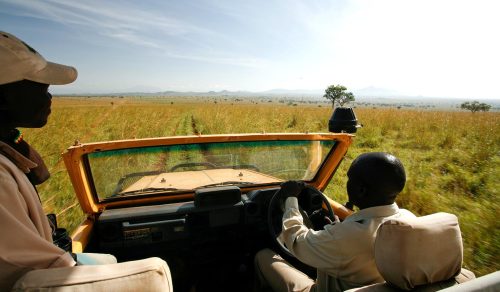 safari in kidepo