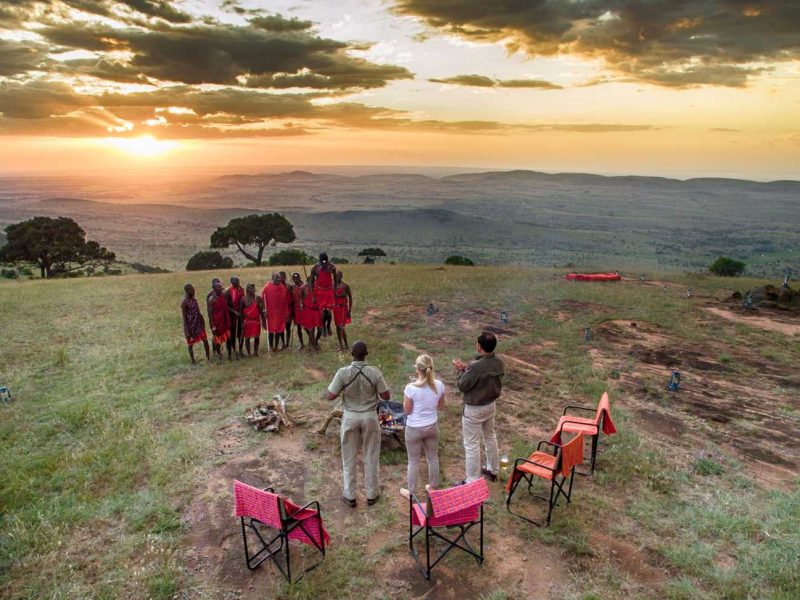 Book a safari