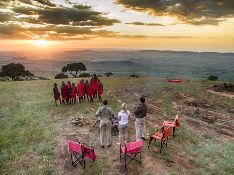 Book a safari