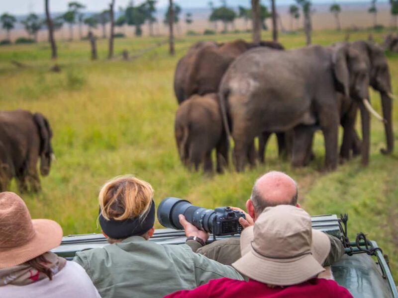 Game Drive in Kenya