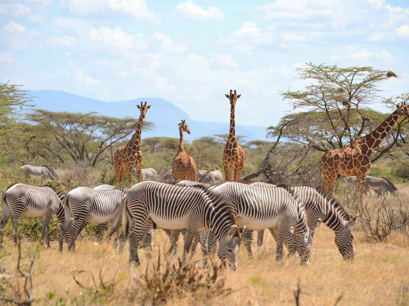 Samburu-National-Park
