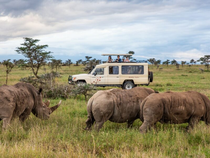Luxury Kenya